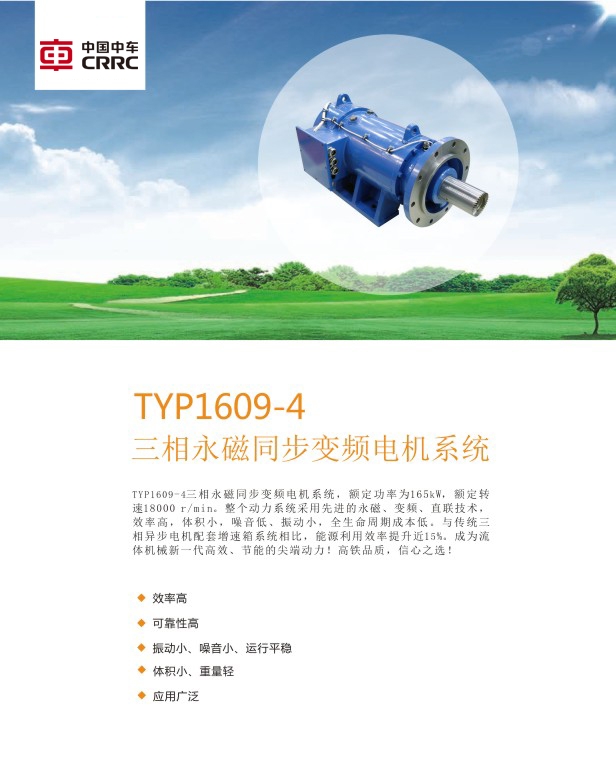 TYP1609—4 三相永磁同步变频电机系统