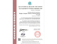 OCCUPATIONAL HEALTH AND SAFFTY  MANEGEMENT SYSTEM CERTIFICATE