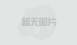 无刷同步主发电机