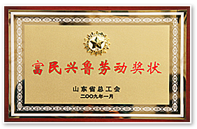 富民兴鲁劳动奖状