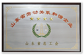 山东省劳动关系和谐企业