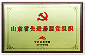 山东省先进基层党组织