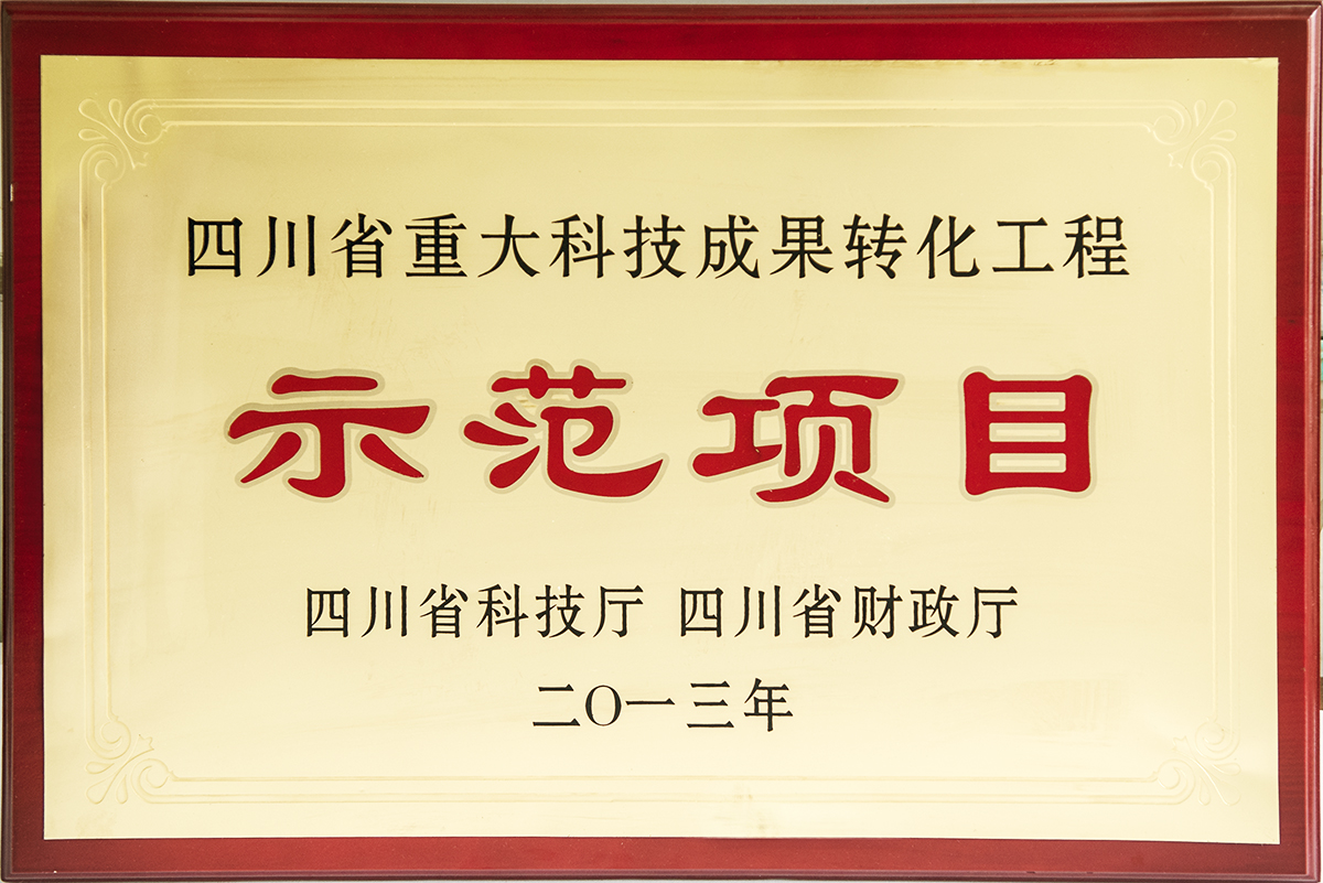 示范项目