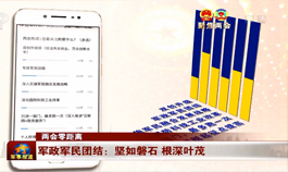 [中央电视台7套]军政军民团结：坚如磐石 根深叶茂