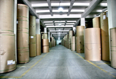 paper sales branch