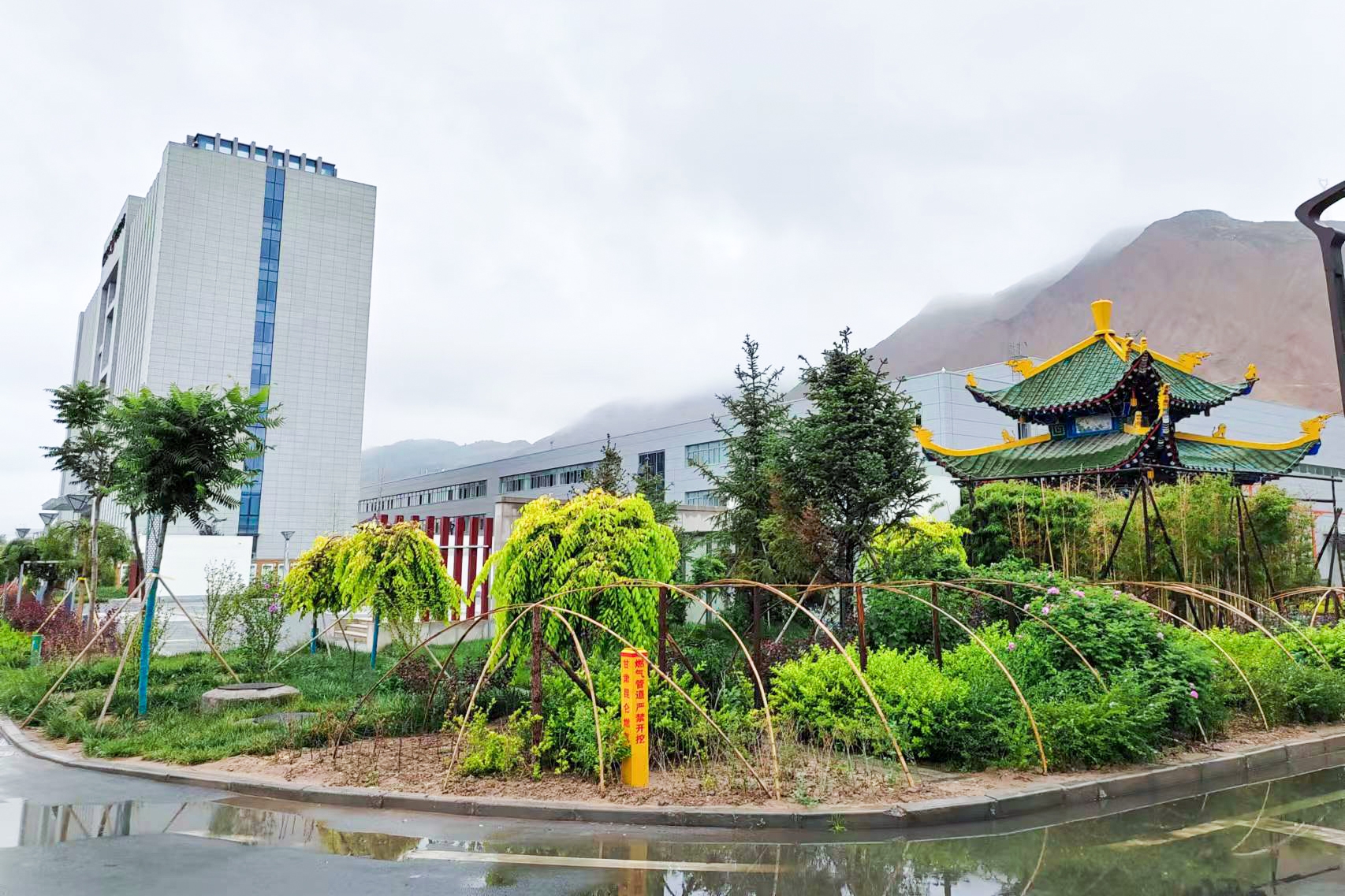 小广场花园